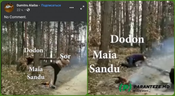 Gafa unui deputat PAS: A comparat-o pe Maia Sandu cu un copac